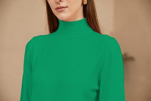 Image of DAIMIDY Turtleneck Sweaters for Women Long Sleeve Pullover Tops | Knitted Material| Soft, Warm and Breathable| High Resilience and Tensile Strength Design| Business Casual Tops| Dailywear
