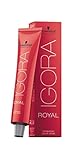 Igora Royal