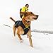 Ruffwear, Quinzee Dog Winter Jacket, Insulated Packable Puffer Vest with Leash Portal, Reflective Trim & Weather‑Resistant Shell, Adjustable Fit Coat, Harness Compatible, Obsidian Black, Medium