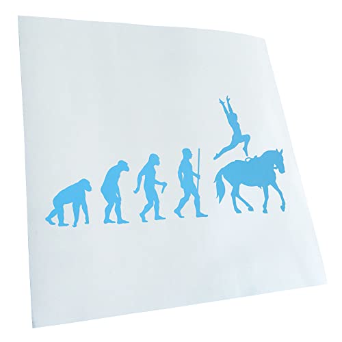Kiwistar - Autocollant - Evolution pour dressage - bleu clair - G30 - Pour voitures, vélos, véhicules, motos, cyclomoteurs, tuning, vitres arrière