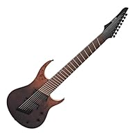 High-output passive humbuckers produce powerful, aggressive tones Features a one-of-a-kind unique burl finish Superior tuning stability via a single saddle bridge system Equipped with 10-74 strings