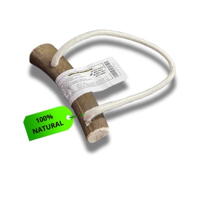 ZADE Hueso para Perros Natural - Asta de Ciervo para Perro - Hueso Perro Natural Cuernos de Ciervo - Mordedor Perro Huesos Perro - Asta de Ciervo para Perro