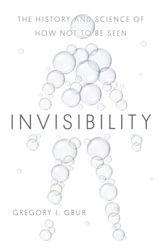 Invisibility view 2