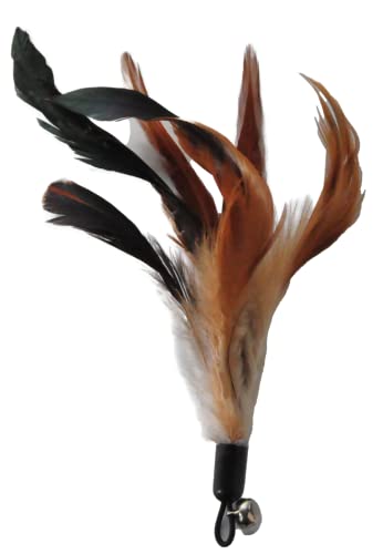 Ecocity TOY010 Cat Toys - No Chemical Dyeing Cat Feather Toys thumb #6
