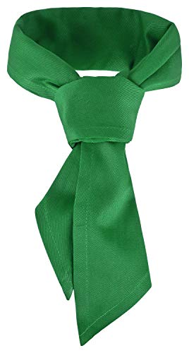 DESERMO Lot de 3 foulards triangulaires 120 x 80 cm | Foulards professionnels de qualité supérieure en 35 % coton et 65 % polyester | Pour homme et femme - Grand choix de couleurs | 220 g/m² (vert) Cover