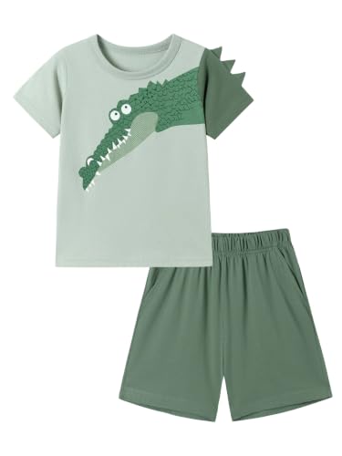 Image of HILEELANG Toddler Boy Summer Outfit Set 2 Piece Short Sleeve T Shirt and Short Soft Breathable Cotton Clothing Sets 2-7T