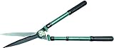 Raco Expert 80100 Telescopic Hedge Shears 70 x 660 x 210 cm Green
