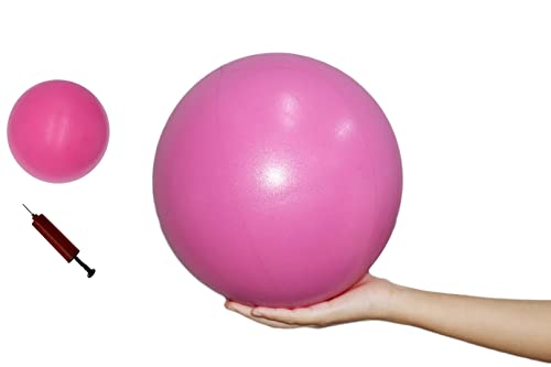 8 inch Exercise Ball, Small Exercise Ball Mini Yoga Ball, Pilates Ball 8 in with Needle Pump, Core Ball Barre Workout Anti Burst 8â€ Ball for Stability Physical Therapy Fitness, Pink