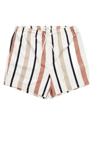 PacSun Men's Stripe 4.5