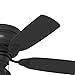 Hunter Fan Company 52392 Low Profile Ceiling Fan, Matte Black