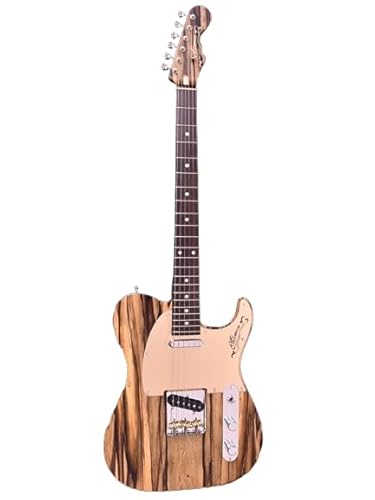 Momose Z MT-PME/E EQS NA-MAT