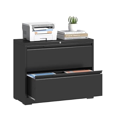 Yoonkool Lateral File Cabinet 2 Drawer, Metal File Cabinet with Lock