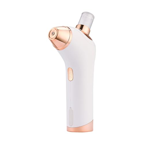 Oxygen Facial Machine Nano Facial Mist Skin Hydration Anti Aging Nourishing Handheld Atomizer Face Care Improve Absorption Portable Mist Sprayer Women (B)