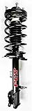 FCS Complete Strut Assembly