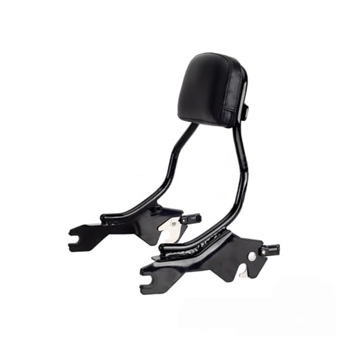 Sissy bar avec porte-bagages pour voyager en duo sur Harley Fat Bob 2019 2020