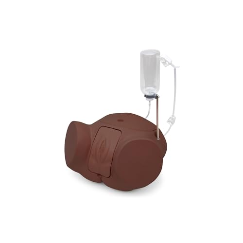 3B Scientific P93SPC‑FD Katheterisierungs‑Simulator PRO Frau (dunkler Hautton)