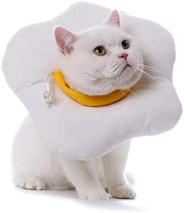 caring for cat with elizabethan collar