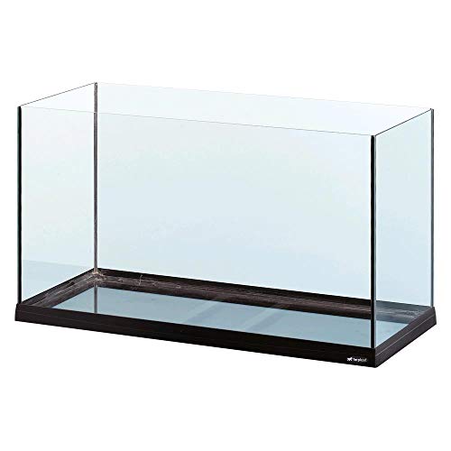 Base in plastica resistente e stabile