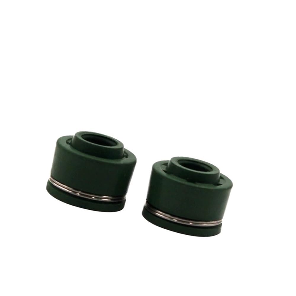 Kit de válvulas y retenes de Aceite for Motor de Motocicleta, Compatible con DR250 AN250 (1990-1995, 1998-2007)(1 Pair)