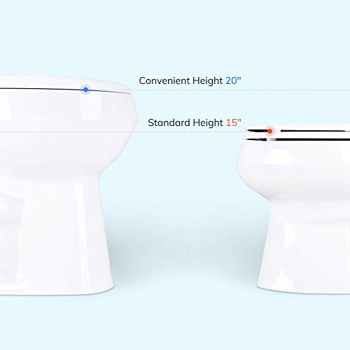 Elongated vs Round Toilet Which One is Better? Bath Advisors