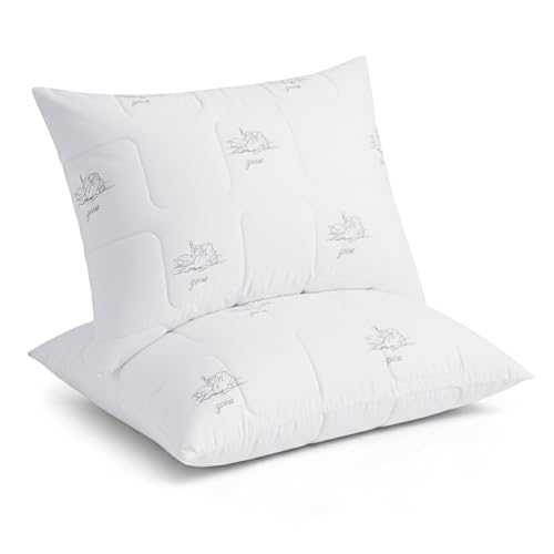 Set 2 Almohadas King tamaño suave microfibra