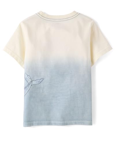 Image of Gymboree Boys and Toddler Embroidered Graphic T-Shirt