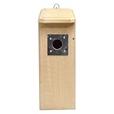 Coveside Mounted Downy Woodpecker Bird Nest House