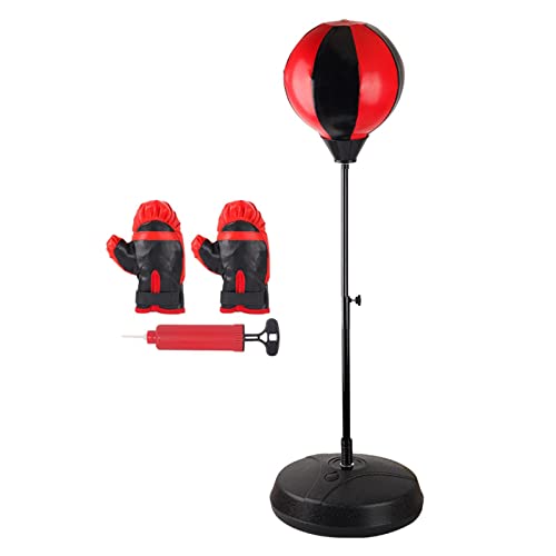 Zynphancer Xs[h{[ {NVOobO ߉\ p`O{[ X^ht g[jOtBbglXp PUf S (LbYH 80-120cm)