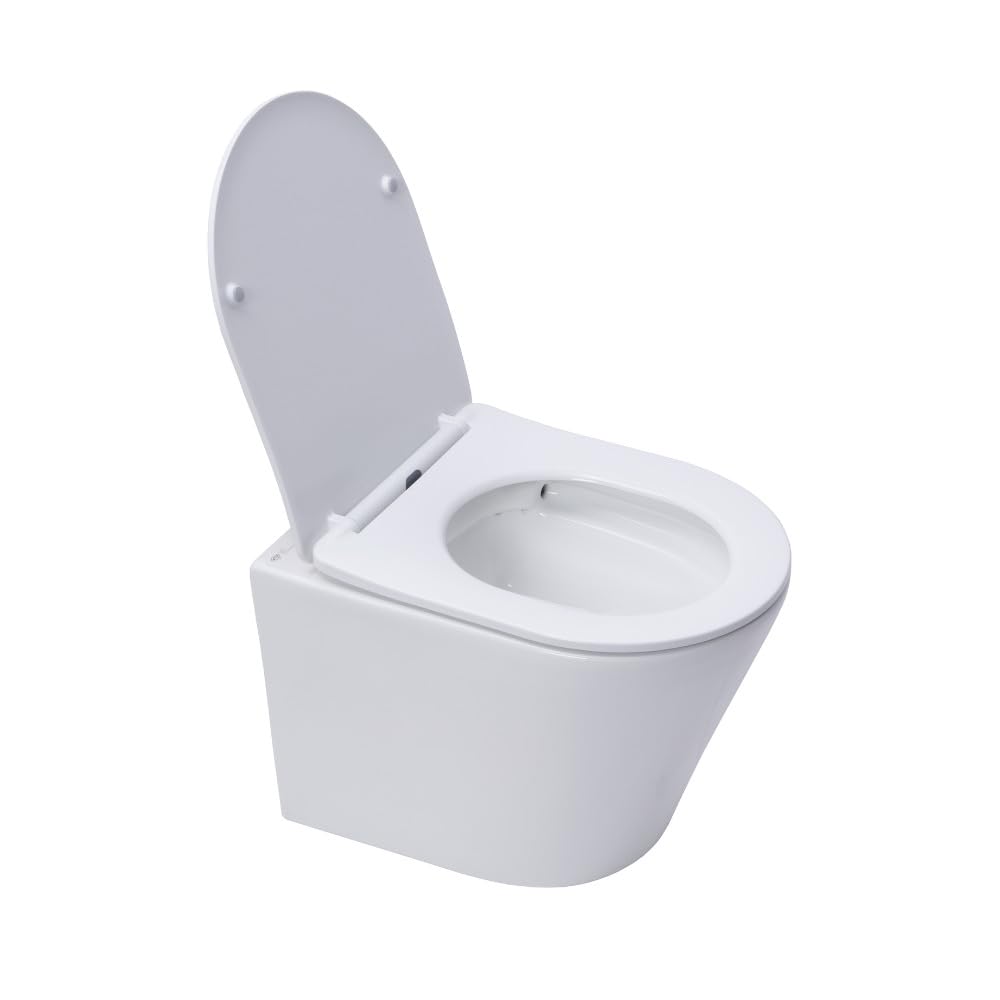 Pack WC Swiss Aqua Technologies | Grohe Bastidor independiente | Sin brida SAT Infinitio | Tapa blanda | Placa blanca alpina (ProjectInfinitio-3) | ProjectInfinitio-3