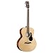 Alvarez ABT60 Artist Series