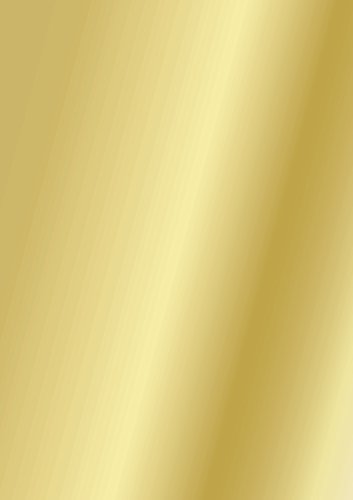 Preisvergleich Produktbild HEYDA Plakatkarton VE10