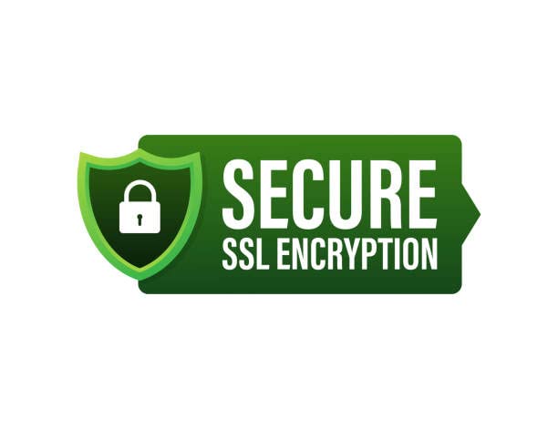 Secure SSL Encryption PVC Sticker Fixed on Board : Amazon.in: Office Products