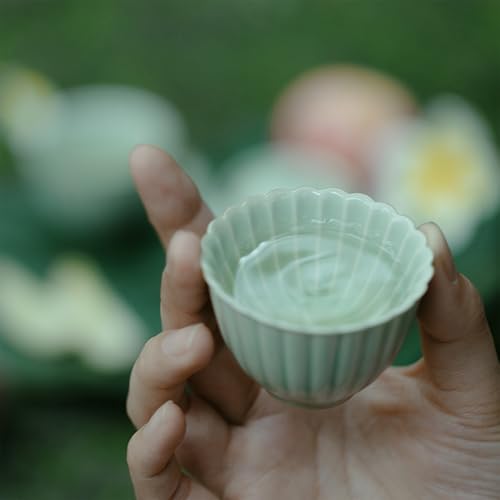 Pedoleco  i䪔t 1 50ml 6*4.1cm |̖͗l ۂ q ~j ^ eB[Jbv    t iZ~bNX  lp  (CgO[, i䪔t 50ml 6*4.1cm)