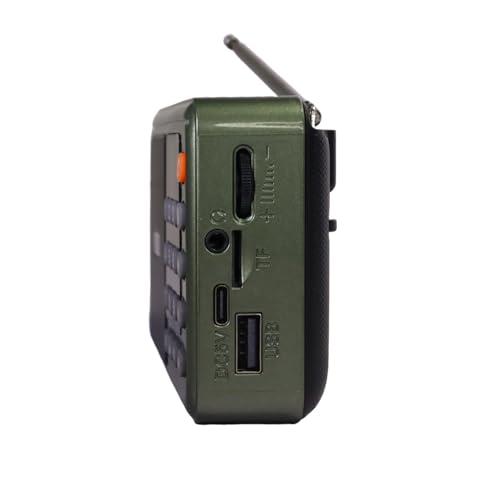 Image of Wireless Bani & Nitnem Speaker Radio with FM, SD Card, Bluetooth,New Type-c Charging (Punjabi /Sikh /Waheguru Simran Speaker /Music Player)