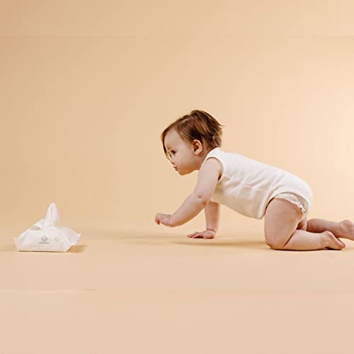 Dabble & Dollop Infant Face & Neck Wipes - Natural Baby Wipes, Fragrance & Essential Oil-Free, 100% Usa-Made, Compostable, Plant-Based Fibers, Vegan (Set Of 2) #TOP4