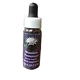 Flower Essence Services Mountain Pennyroyal Dropper, 0.25 oz