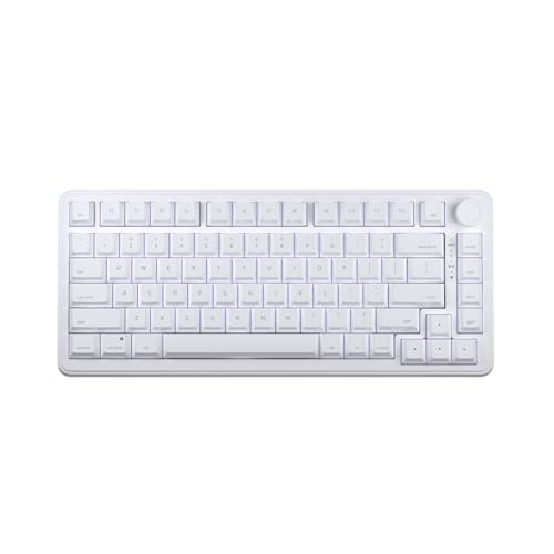 AIM1 瞬　キーボード　ラピットトリガー 31a1bYXsggL.jpg