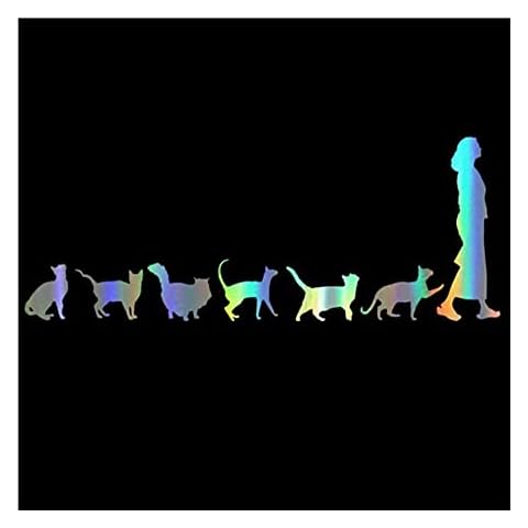 MDGCYDR Pegatinas Personalizadas Coche Car Sticker 3D Cover