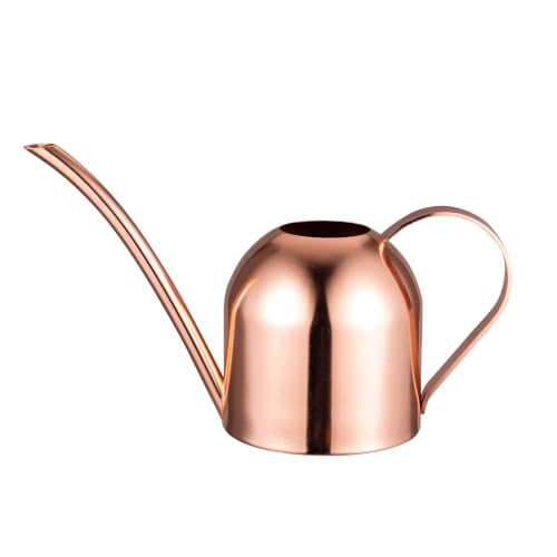 IMEEA Mini Indoor Watering Can Stainless Steel 15oz/450ml