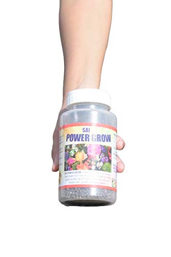 SAI Power Grow Plus: A perfect organic combination of Natural Soil & Plant health Booster for Enhancing Yield & Quality, 500 GM (B08WRTSJC2) Amazon Price History, Amazon Price Tracker