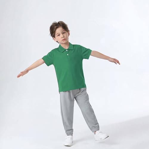 Image of Boy Polo Shirt Pique School Uniform Shirt for Kid Golf Top Youth Boy 5-14Y