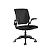 Humanscale Diffrient World Task Chair | Catena Black Mesh and Seat | Black Frame with Black Trim | Height-Adjustable Duron Arms | Standard Foam Seat, 3" Carpet Casters, and 5" Cylinder