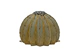 Desert Steel Golden Barrel Cactus Torch - (Small - 12"W x 9"H) - Outdoor Metal Yard Art & Lawn Decoration