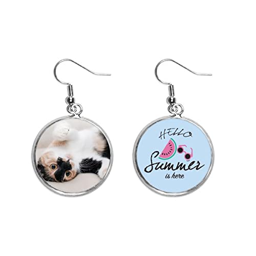 Pendientes de sandía y gato durmiendo hechos de plata para el verano
