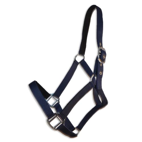 Cabezada cuadra Eco | Talla COB | Color Azul | Equipamiento para el caballo | Producto de Guarnicionería | Tradición artesana | Los Nietos