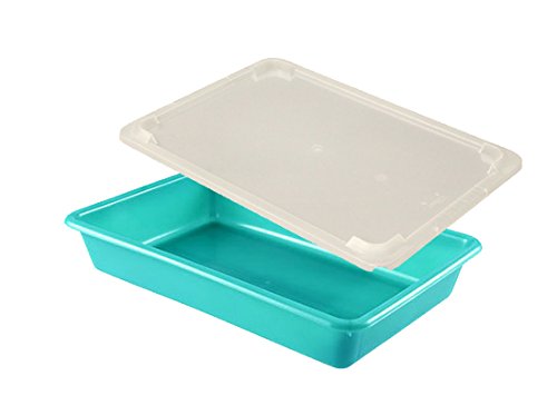 Gilac BAC PLAT ALIMENTAIRE 8 Litres VERT et COUVERCLE TRANSPARENT