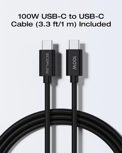 Prime Big Deal: EF ECOFLOW USB C Charger, Rapid 65W GaN Type C Charging Block with Foldable Plug (100W USBC Cable Included) - image 7