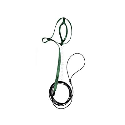 The AVIATOR Pet Bird Harness and Leash: X-Small Green