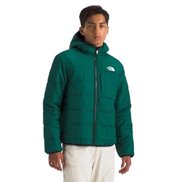 The North Face Jaqueta masculina reversível Shasta com capuz e zíper, verde, PP