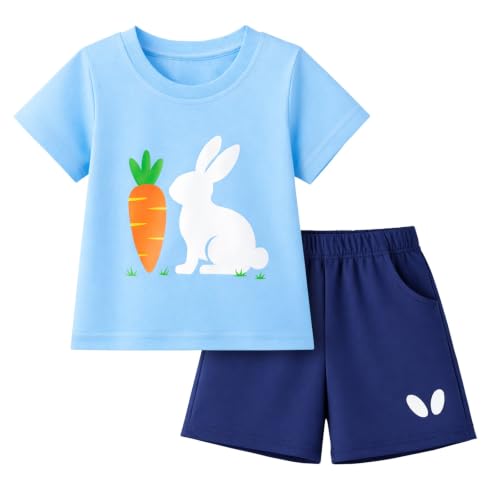Image of HILEELANG Toddler Boy Summer Outfit Set 2 Piece Short Sleeve T Shirt and Short Soft Breathable Cotton Clothing Sets 2-7T
